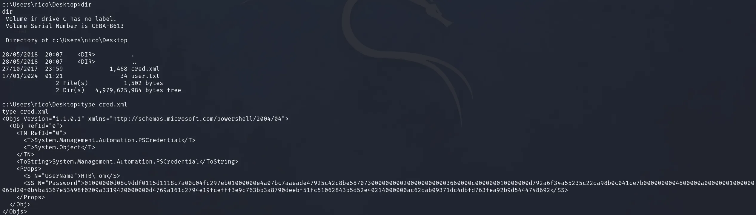 image-20240117101140259.png